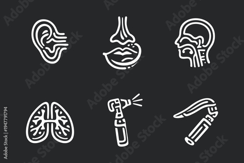 Medical Specialist Diagnostic Equipment Icons