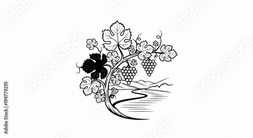 Vineyard scene with grapes and winding river