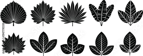 Detailed Leaf Icon Set with Various Shapes and Patterns for Nature, Botanical, and Organic Design