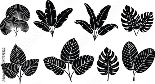 Leaf Icon Set with Various Types and Shapes for Nature, Botanical, and Plant Design