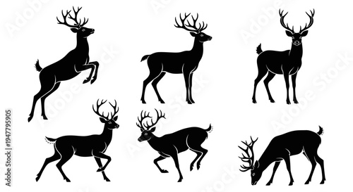 Set of Black Deer Silhouettes in Various Poses on White Background