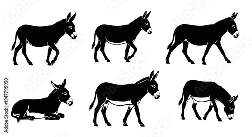 Set of Black Donkey Silhouettes in Various Poses: Standing, Walking, Lying Down, Grazing