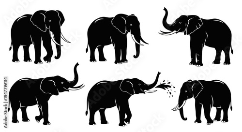 Set of Black Elephant Silhouettes in Various Poses on White Background