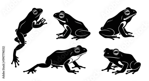 Set of Black Frogs Silhouettes on White Background, Various Poses