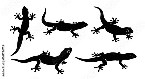 Set of Black Gecko Silhouettes in Various Poses on White Background