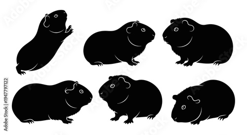 Set of Black Guinea Pig Silhouettes on White Background, Cute Pet Animals Collection