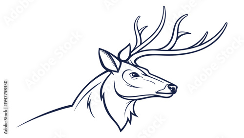 vector illustration of a deer