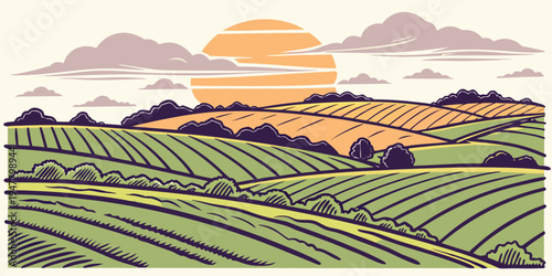 A serene vineyard landscape at sunset Vector