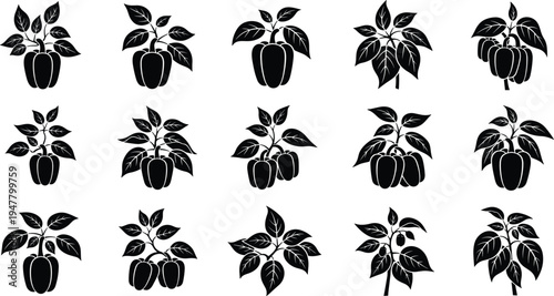 Bell Pepper Plant Illustration Icon Set with Single and Multiple Fruits, Leaves, and Branches for Agriculture, Gardening, and Farming Designs