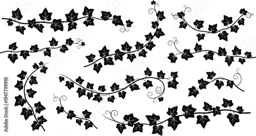 Curved Ivy Vine Illustration Icon Set with Twisting Leaves, Branches, and Decorative Flourishes for Nature, Eco-Friendly, and Garden Designs