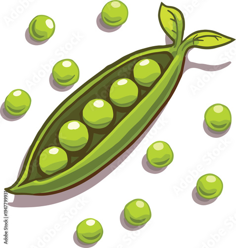 Green pea pod with fresh peas vector illustration healthy vegetable design for nutrition education organic farming and culinary decor