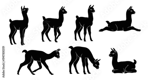 Set of Black Llama Silhouettes in Various Poses on White Background