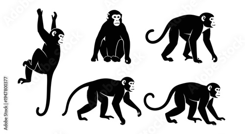 Set of Black Monkey Silhouettes in Various Poses on White Background