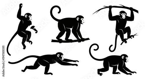 Set of Black Monkey Silhouettes in Various Poses on White Background