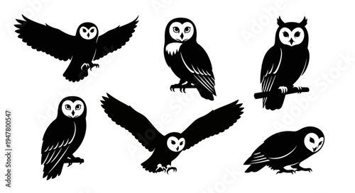 Set of Black Owl Silhouettes Flying and Perching - Vector Graphics