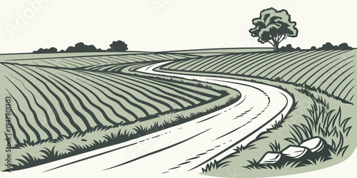 A winding road through a vineyard landscape Vector