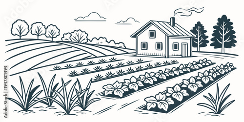A house on a farm with rows of crops Vector