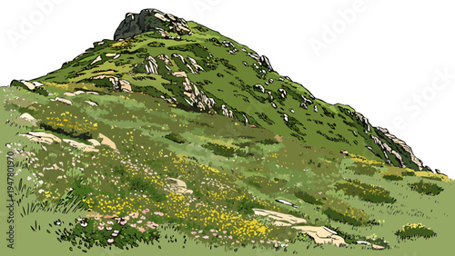 A green hill with yellow flowers on a grassy slope Vector