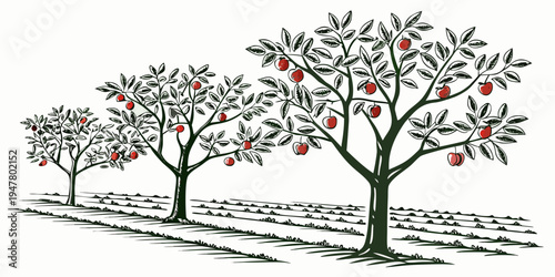 Three apple trees with red apples in an orchard Vector