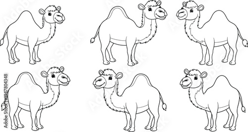 Camel Illustration Set Featuring Cute Camel Characters in Different Poses for Animal, Wildlife, and Desert Designs