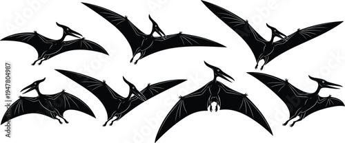 Pterodactyl Flying Dinosaur Silhouette Set, Prehistoric Pterosaur in Flight Collection, Jurassic Winged Reptile Black Vector Illustration for Paleontology and Dino Design