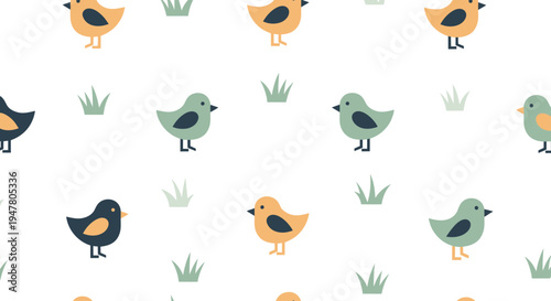 Colorful Birds on White Background.