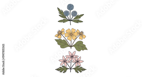 Three Different Color Flowers Together.