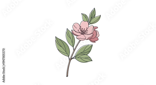 Pink flower with green leaves branch.