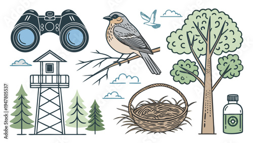 Captivating nature and birdwatching collection featuring detailed illustrations of an observation tower, binoculars, a lovely songbird, a cozy nest, and various forest trees