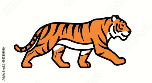 Tiger walking in orange color.