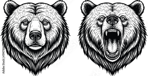 Bear head illustration set with roaring and calm bear faces detailed wildlife predator mascot design for logo tattoo emblem
