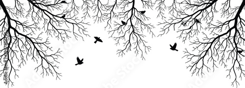 Tree branches border with flying birds silhouette frame design, natural forest branch ornament vector illustration for nature themed decoration
