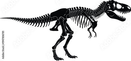 Tyrannosaurus rex dinosaur skeleton silhouette illustration showing prehistoric fossil bones structure isolated for paleontology, science, museum and Jurassic design