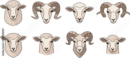 Sheep and Ram Head Illustration Set with Farm Animal Faces, Horned Ram Portraits and Livestock Agriculture Vector Collection