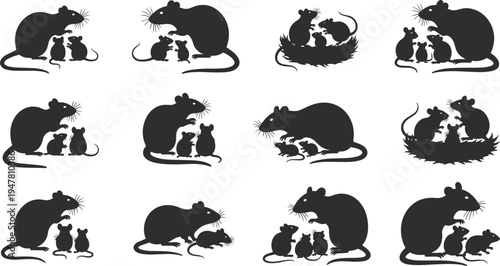 Set of twelve black rat silhouettes with parent and offspring interactions for animal behavior and biology vector design projects