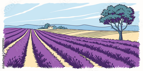 A field of purple lavender with a tree in the distance Vector