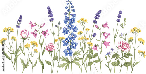 Wildflower Garden Border with Roses Lavender and Delphinium