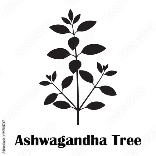 Ashwagandha Tree Minimalist Logo Silhouette with Branch and Ovate Leaves
