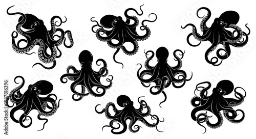 Collection of Black Octopus Silhouettes on White Background