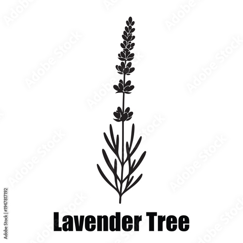  Lavender Tree Botanical Icon with Flower Spike and Linear Leaves