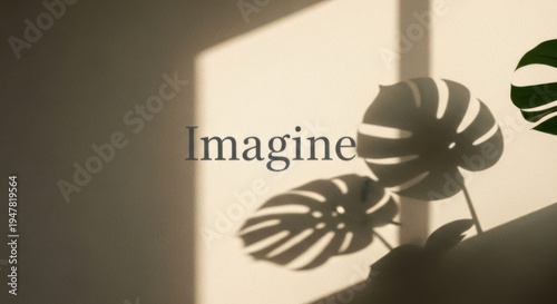 A silhouette of a plant with monstera leaves, backlit by a soft light, creating a shadow on a wall with the word 'Imagine' overlaid.