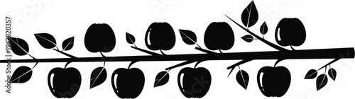 Apple branch silhouette with leaves and fruits, black apple tree branch illustration, orchard harvest botanical design element