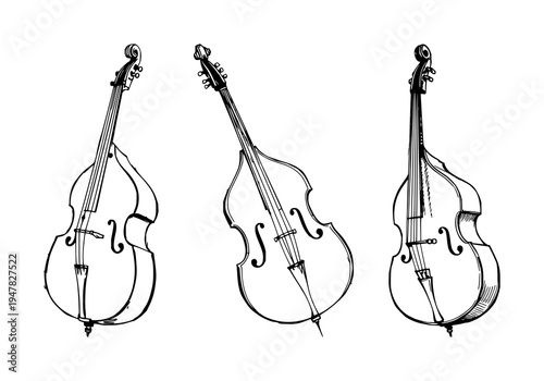 Double bass set with sketchbook style drawing featuring upright double bass, black ink pen, artistic textures with illustration and black and white