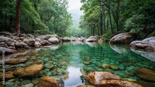 Crystal clear river flowing through a lush green forest.