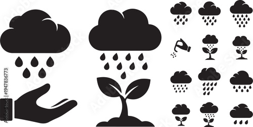 Nourishing Growth with Rain and Careful Hand Watering