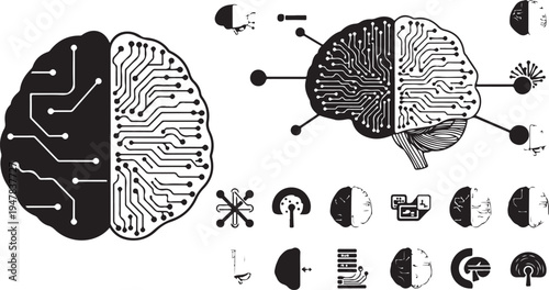Brain Circuitry and Data Visualization Concepts