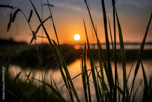 Couché de soleil