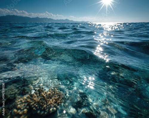 Wallpaper Mural Crystal Clear Tropical Ocean Water With Coral Reef Under Bright Sunlight. Torontodigital.ca