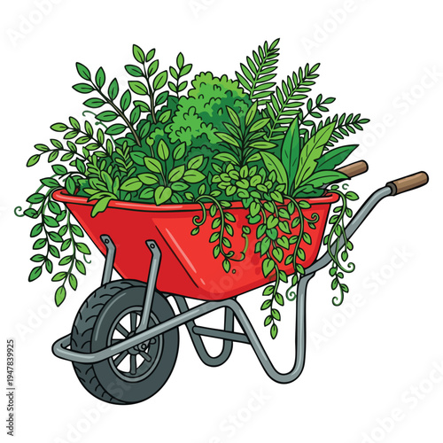 Wheelbarrow Filled with Green Plants