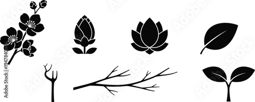 Stages of plant life including branches, buds, fully bloomed flowers, and individual leaves. Cannabis, black floral and botanical silhouettes. 